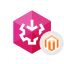 SSIS Data Flow Components for Magento